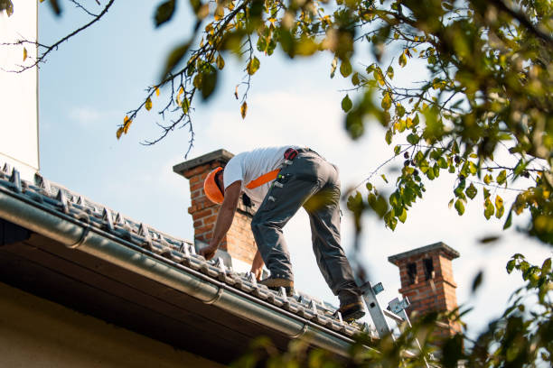 Tile Roofing Contractor in Linton Hall, VA